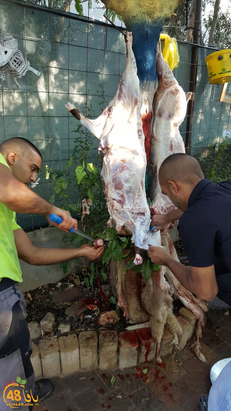 dab7 ada7y wu3ed (6).jpg